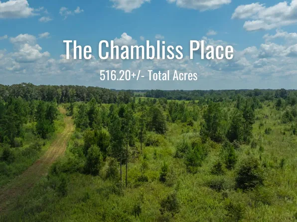 1472 Harrell Rd, Parrott, GA 39877