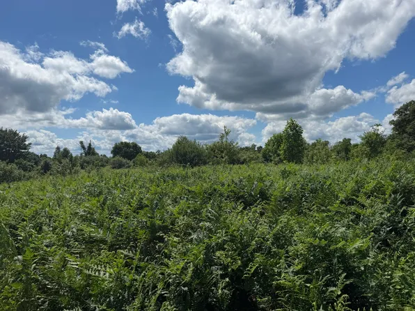 Settlement Dr, Charmco, WV 25958