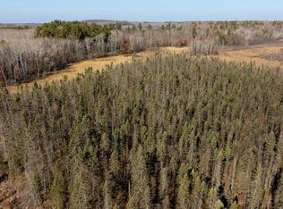 4498 State 210 SW, Pillager, MN 56473