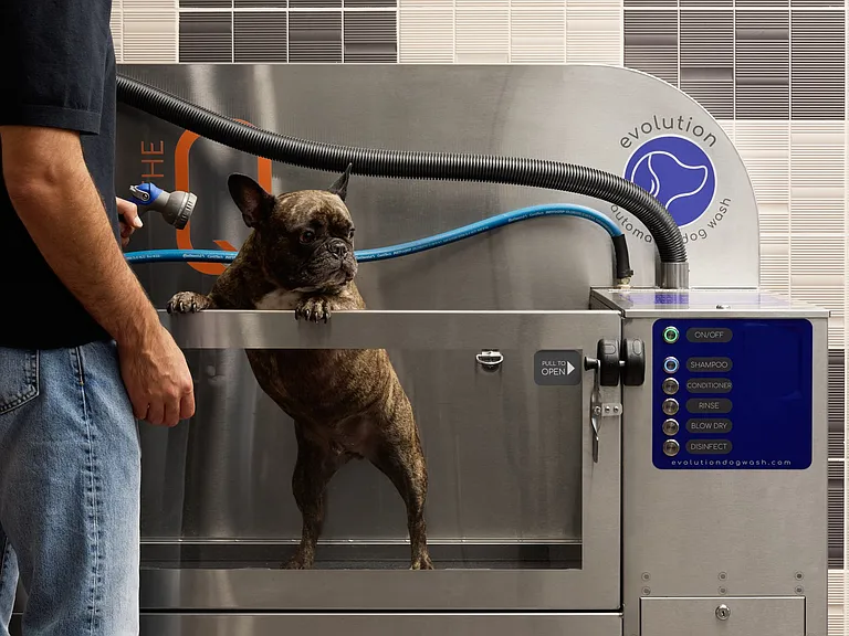 Paw Spa