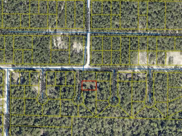 25 Canterbury Ct, Defuniak Springs, FL 32433