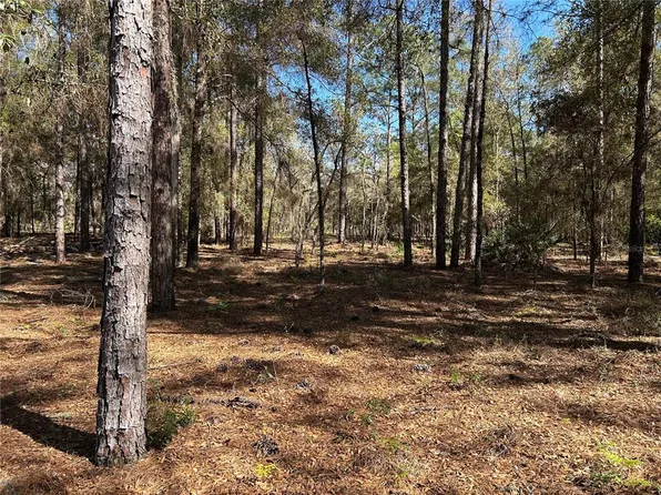 LOT 23 SW 181st Cir Lot 23, Dunnellon, FL 34432