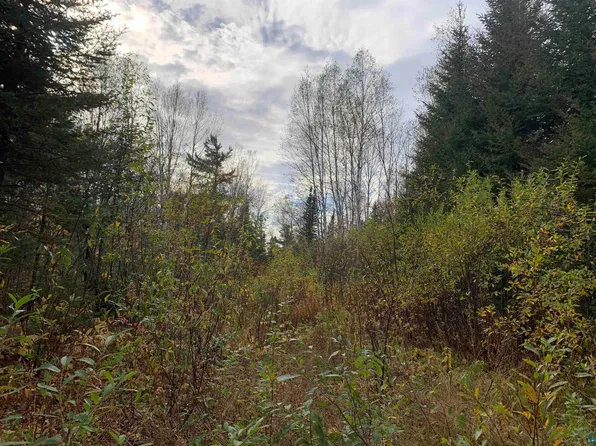 XXB Rocky Top Trail, Hovland, MN 55606