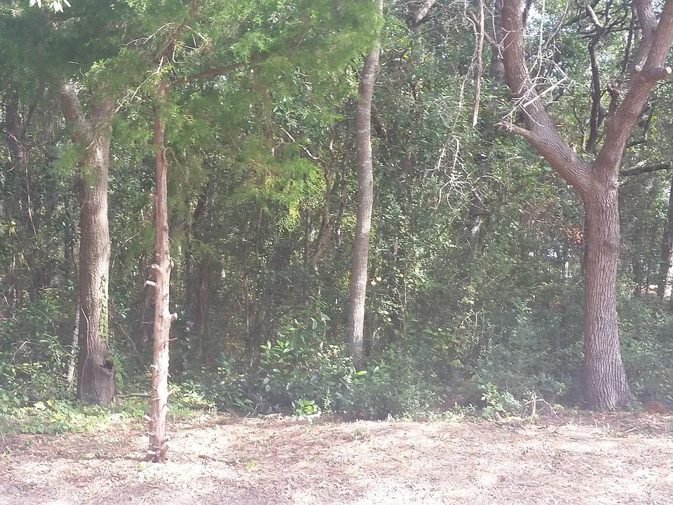 1st image of L-17 NE 41st