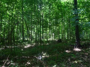 Wright Way Dr, Johannesburg, MI 49751