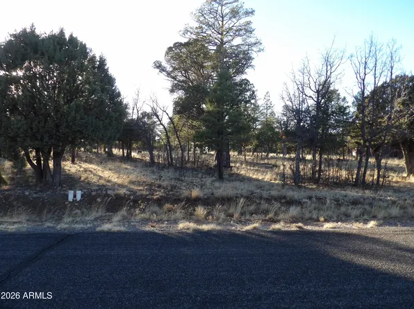 2570 KETTLE Way #200, Happy Jack, AZ 86024