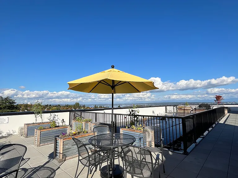 Rooftop garden and seating area