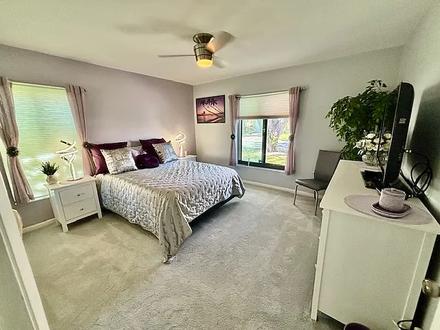 guest room faces front of home; new grey rug, shades