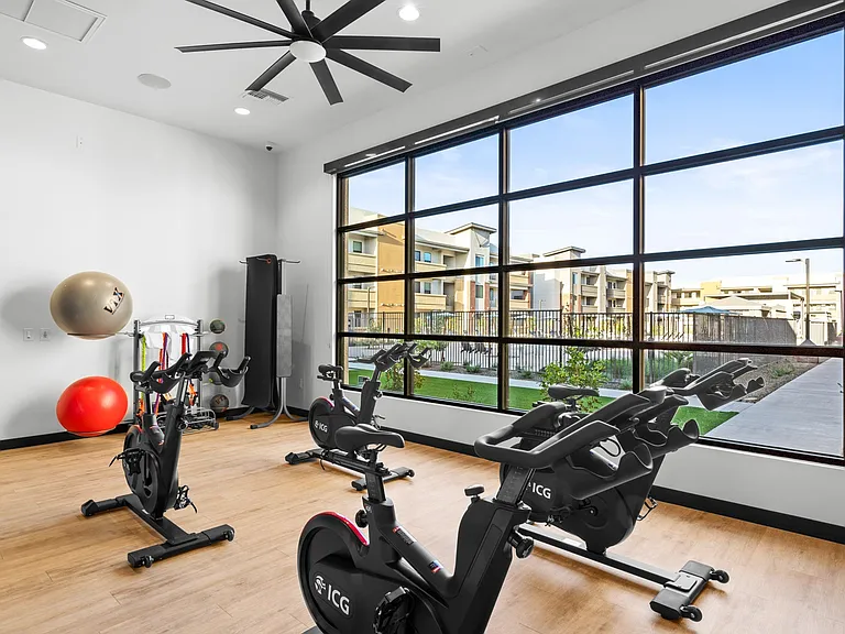 Cycle Studio