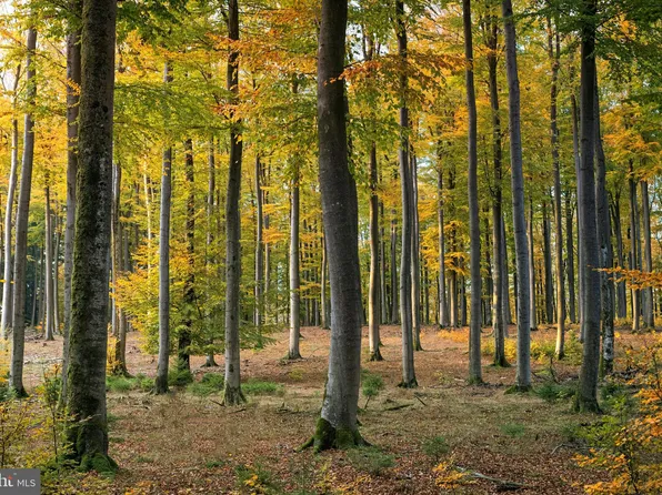 3865 Burnt House Hill Rd, Doylestown, PA 18902