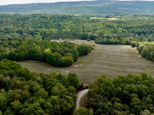 County Road 3, Collinsville, AL 35961