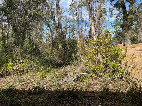 LOT 1 NW 135th Ter Lot 1, Alachua, FL 32615
