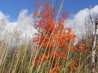 7xx4 Cramer Road, Finland, MN 55603