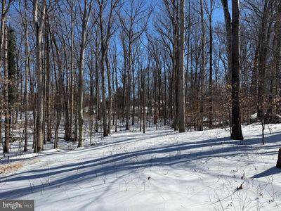 11713 Smithfield Rd, Manassas, VA, 20112