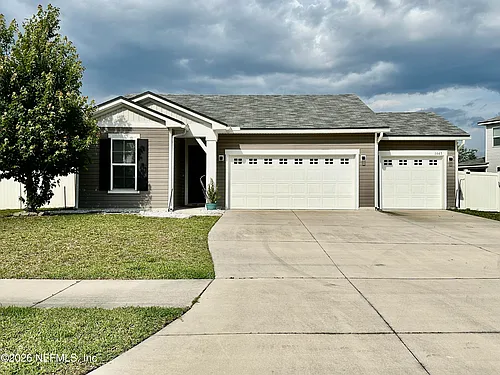 1443 Tropical Pine Cv Photo 1