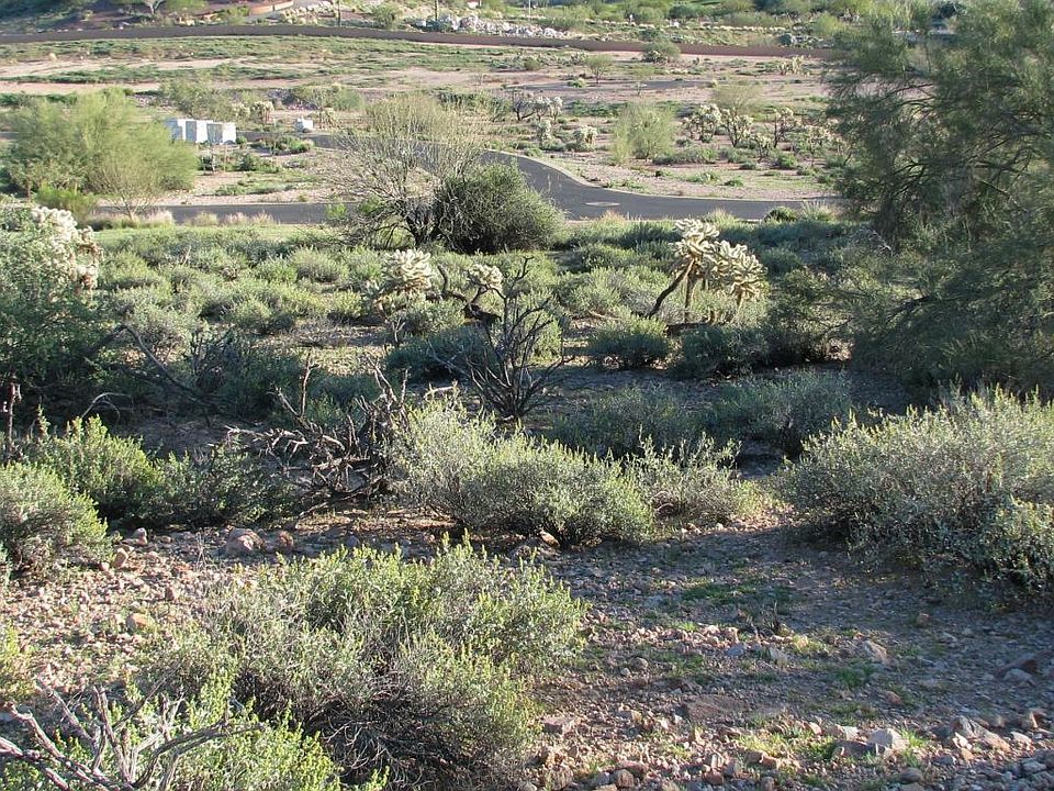1st image of 9352 E Superstition Mountain Dr