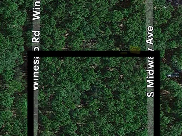 52 Winesap Rd, Baldwin, MI 49304