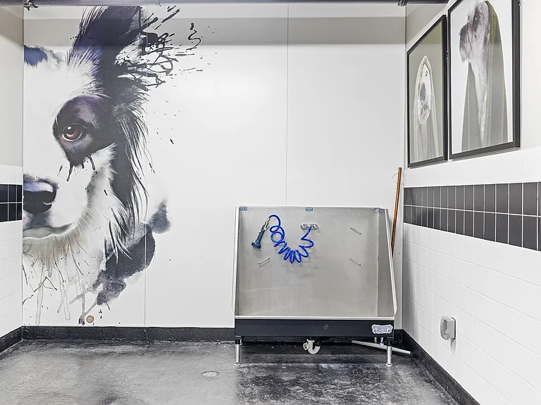 Paw-sitively perfect! Keep your pup clean and happy with our on-site dog wash station.