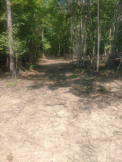 2nd image of 351 Big Piney Loop
