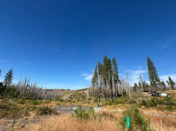 5132 Golden Aspen Dr, Grizzly Flats, CA 95636