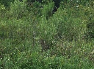 4278 Old Charleston Rd, Saluda, SC 29138