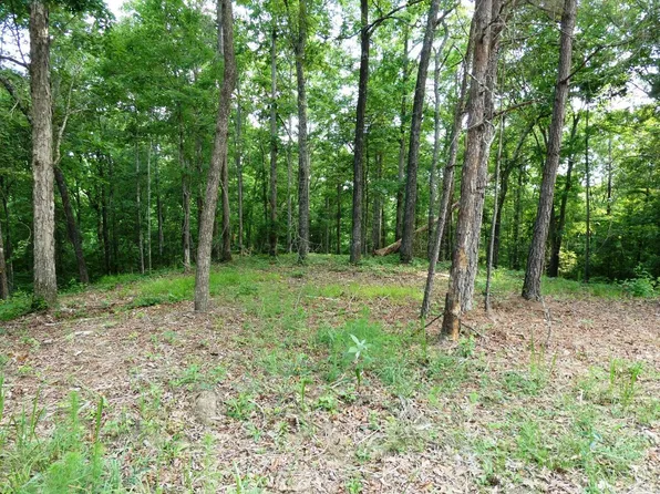 77 Broken Arrow Trl, Jasper, AL 35504
