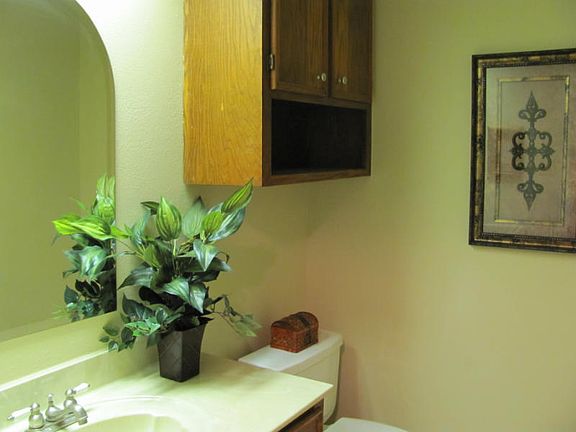 3rd image of 4209 Petronila Creek Ct