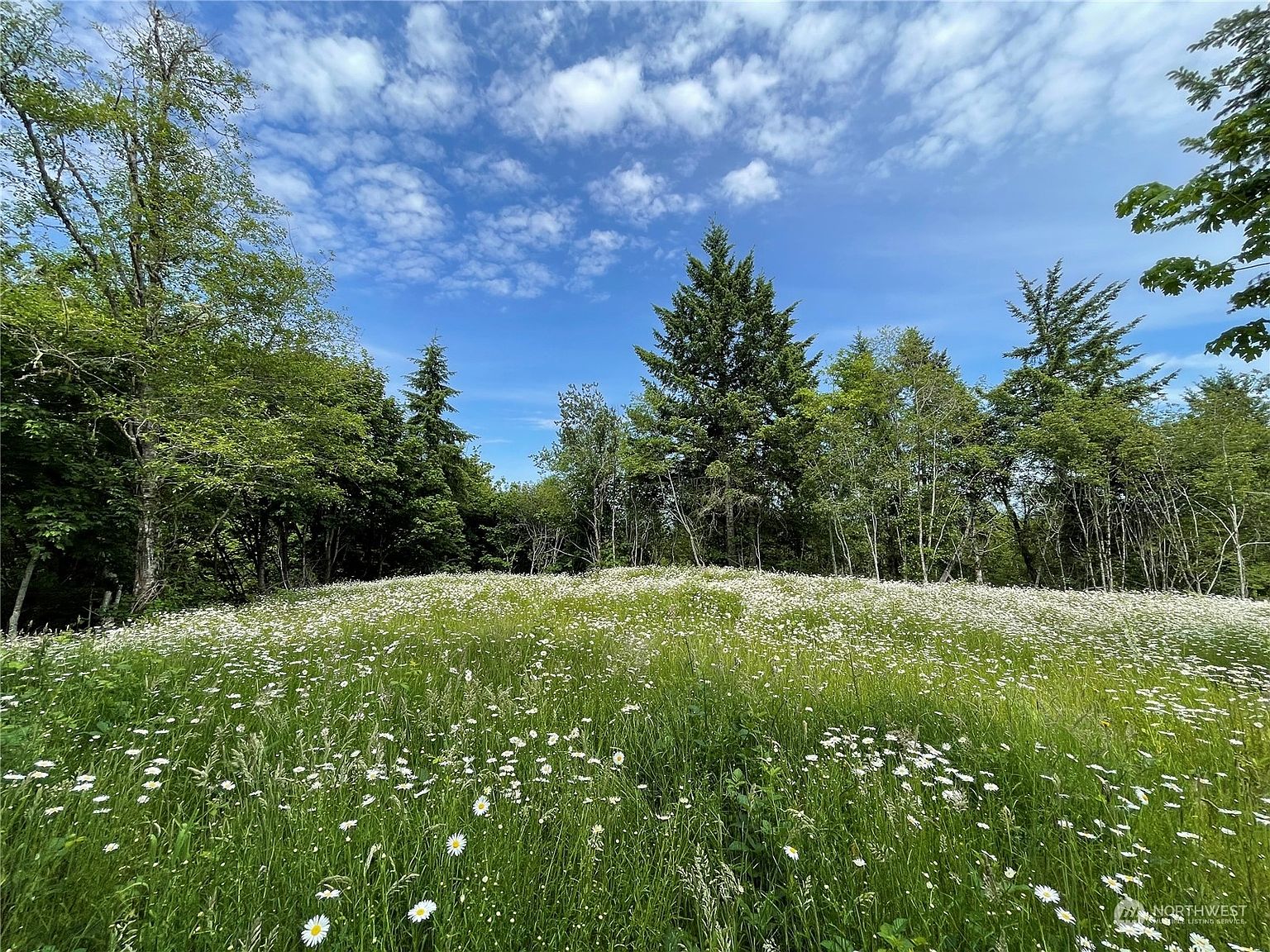 0 E Sherwood Road, Allyn, WA 98524 | Zillow