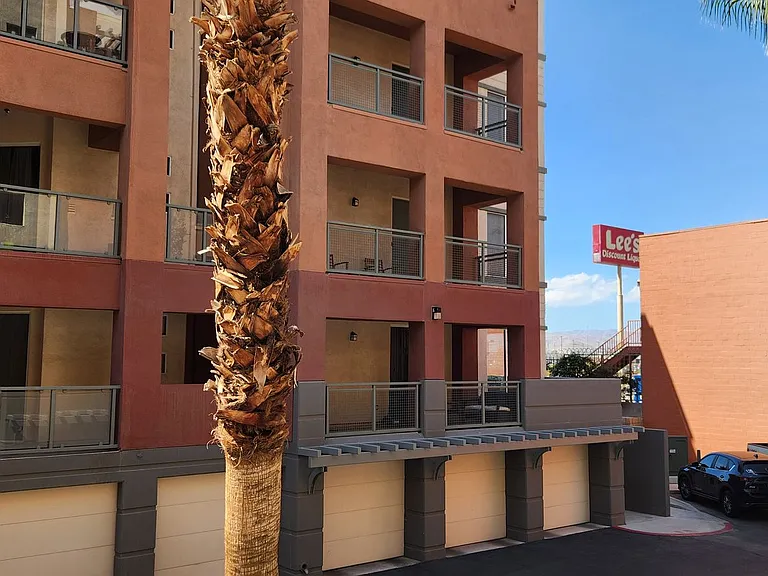 27 E Agate Ave #209 — Photo 15