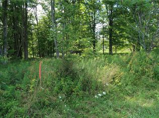 LOT 5 German Rd LOT 5, Willet, NY 13863