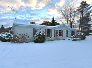 6740 E Bogardus St, Pellston, MI 49769