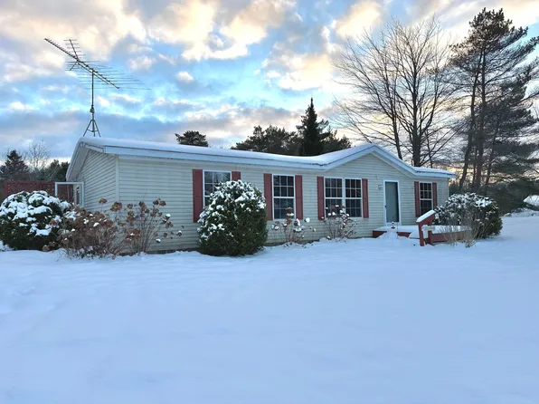 6740 E Bogardus St, Pellston, MI 49769