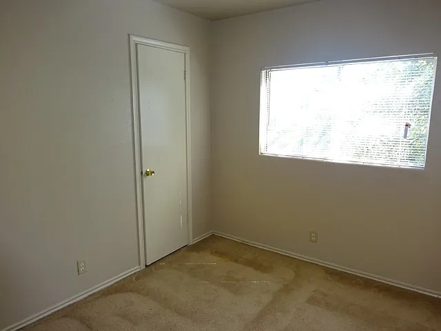 3638 Candlehead Ln — Photo 25