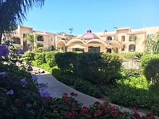 Loma Village — Photo 17