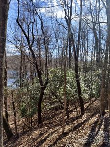 Inoli Cir, Brevard, NC, 28712