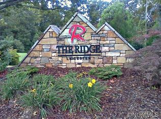 153 Israel Rd, Leicester, NC 28748