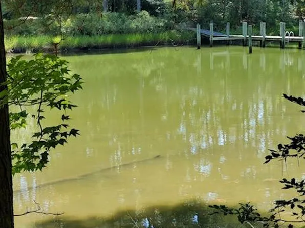 12 Indian Pointe Dr, Kilmarnock, VA 22482