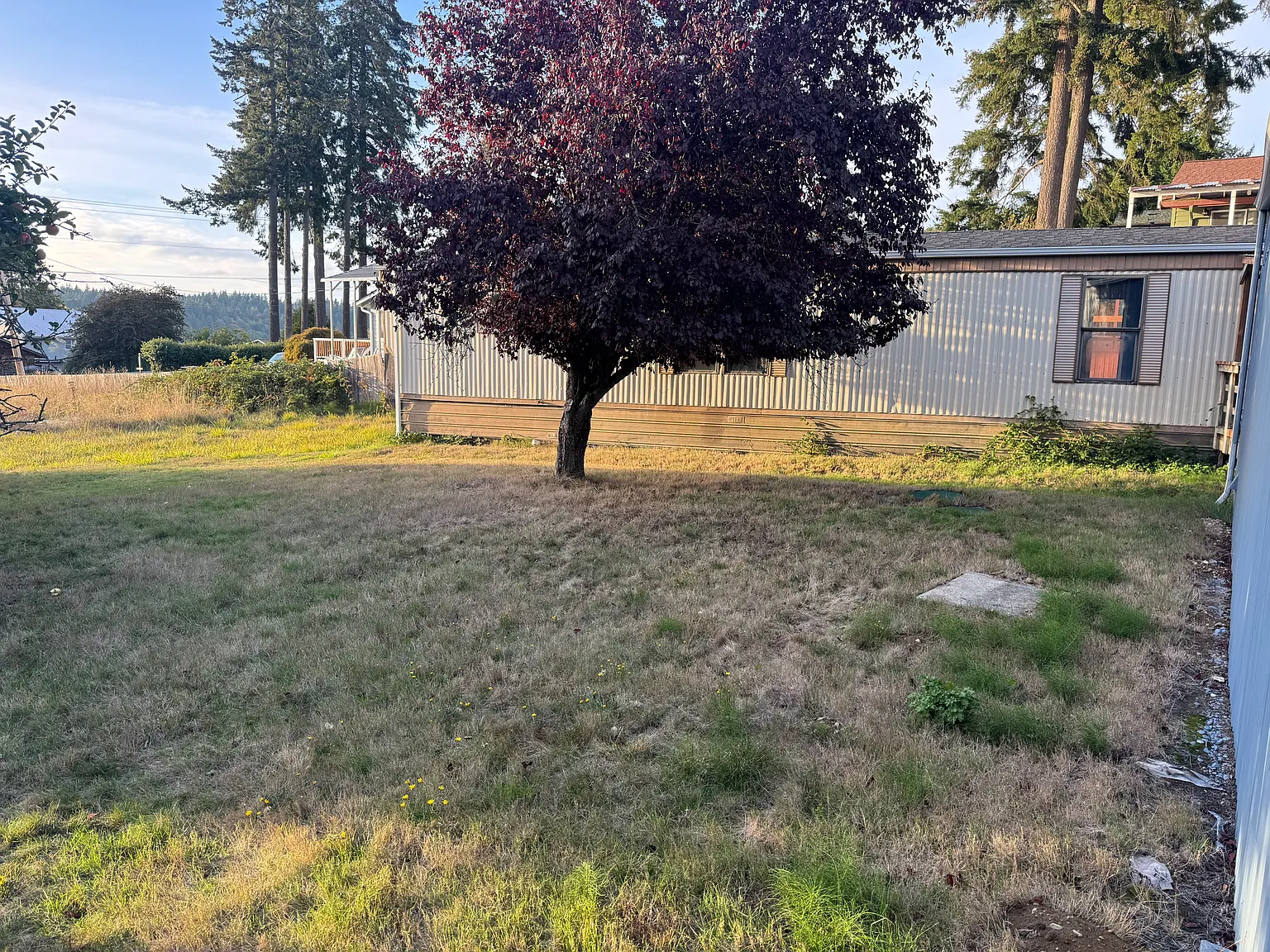 Whitecap Dr NW, Olympia — Photo 4