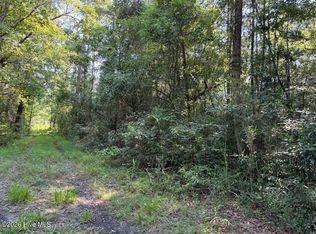 Lot 6 E Wilmington Street LOT 6, Burgaw, NC 28425