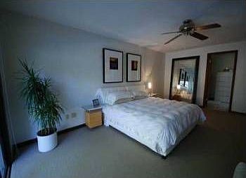 5th image of 12503 Clendenning Dr