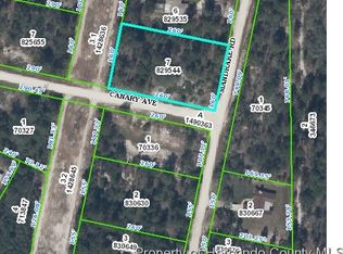 11081 Canary Ave, Weeki Wachee, FL 34613