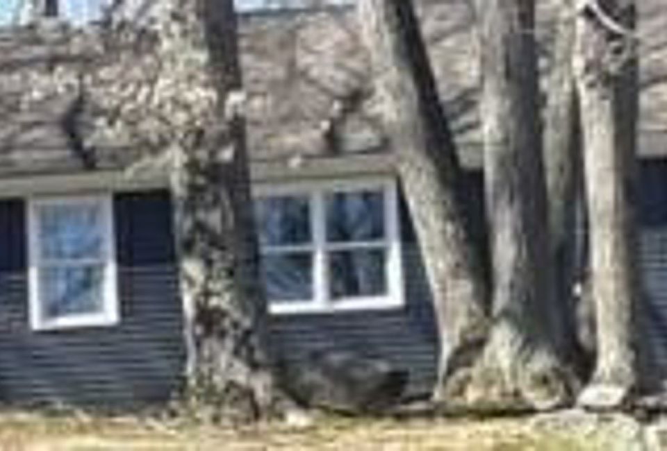 Property Rear View