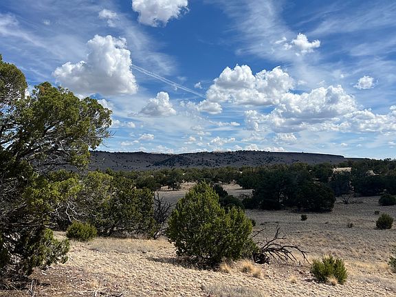 18th image of 430 Cimarron Dr #155
