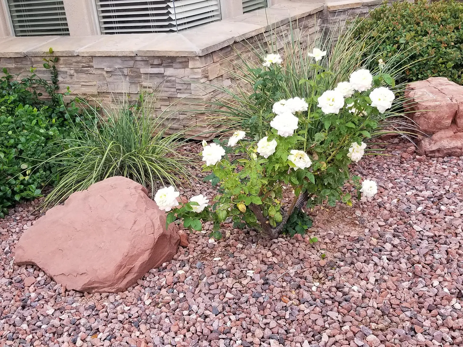 2 bed, 2.0 bath, 1932 sqft, $3,700 — Photo 3