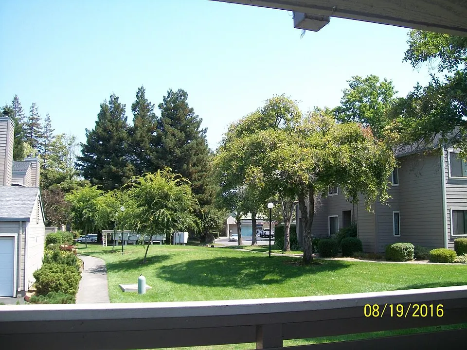 View from Patio