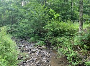 0 Washburn Rd, Spencer, NY 14883