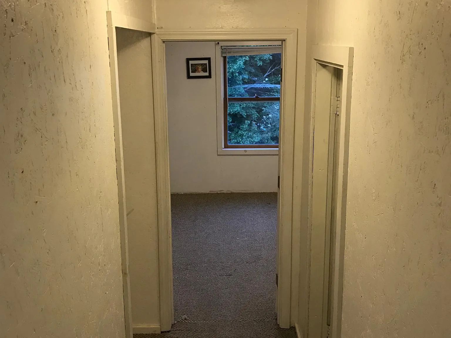 1 bed, 600 sqft, $1,250 — Photo 4