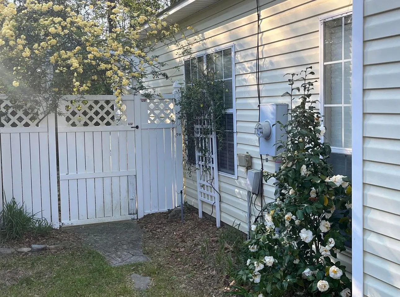 3 bed, 1253 sqft, $1,650 — Photo 4