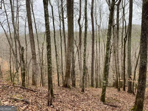 Scenic Way #3833, Ellijay, GA 30540