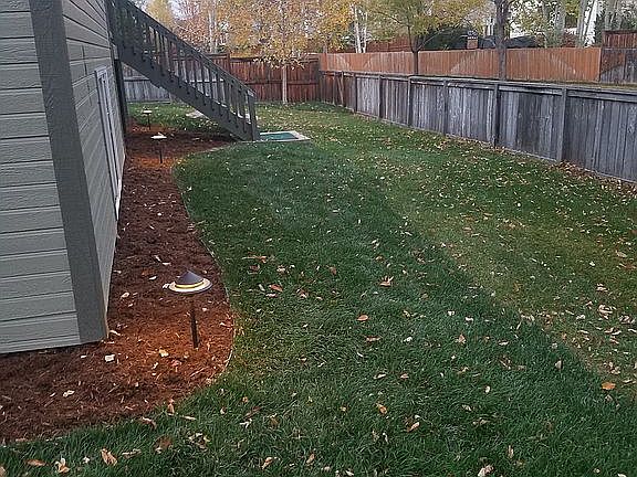 Back yard